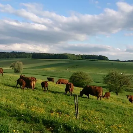 Schoene In Oberwaldbach Burtenbach